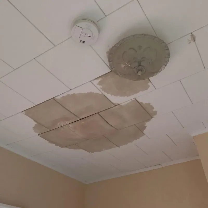 Ceiling Water Damage Repair in North Randall, OH
