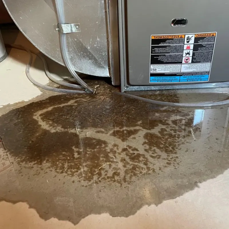 Pipe Burst and Leak Restoration in North Randall, OH